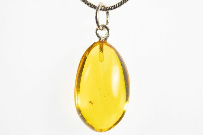 Polished Baltic Amber Pendant (Necklace) - Contains Fly! #328525